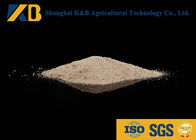 High Protein Content Rice Protein Powder Feed Grade With Yellowish Colour