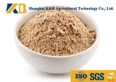 पशु फ़ीड के लिए शुद्ध ब्राउन चावल प्रोटीन उत्पाद / चावल आधारित प्रोटीन पाउडर