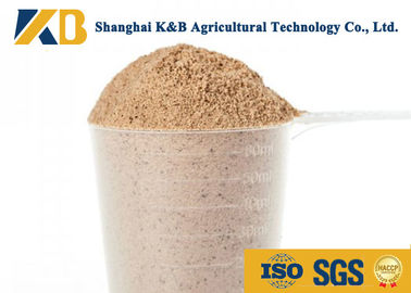 OEM ब्राउन चावल पाउडर / पशु फ़ीड उत्पाद अच्छी तरह से संतुलित एमिनो एसिड प्रोफ़ाइल