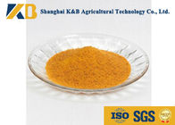 60% Content Corn Protein Powder / Animal Feed Additives For Shrimp Breed