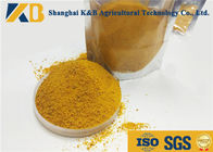 OEM Corn Protein Powder For Extract Natural Pigment And Various Amino Acid